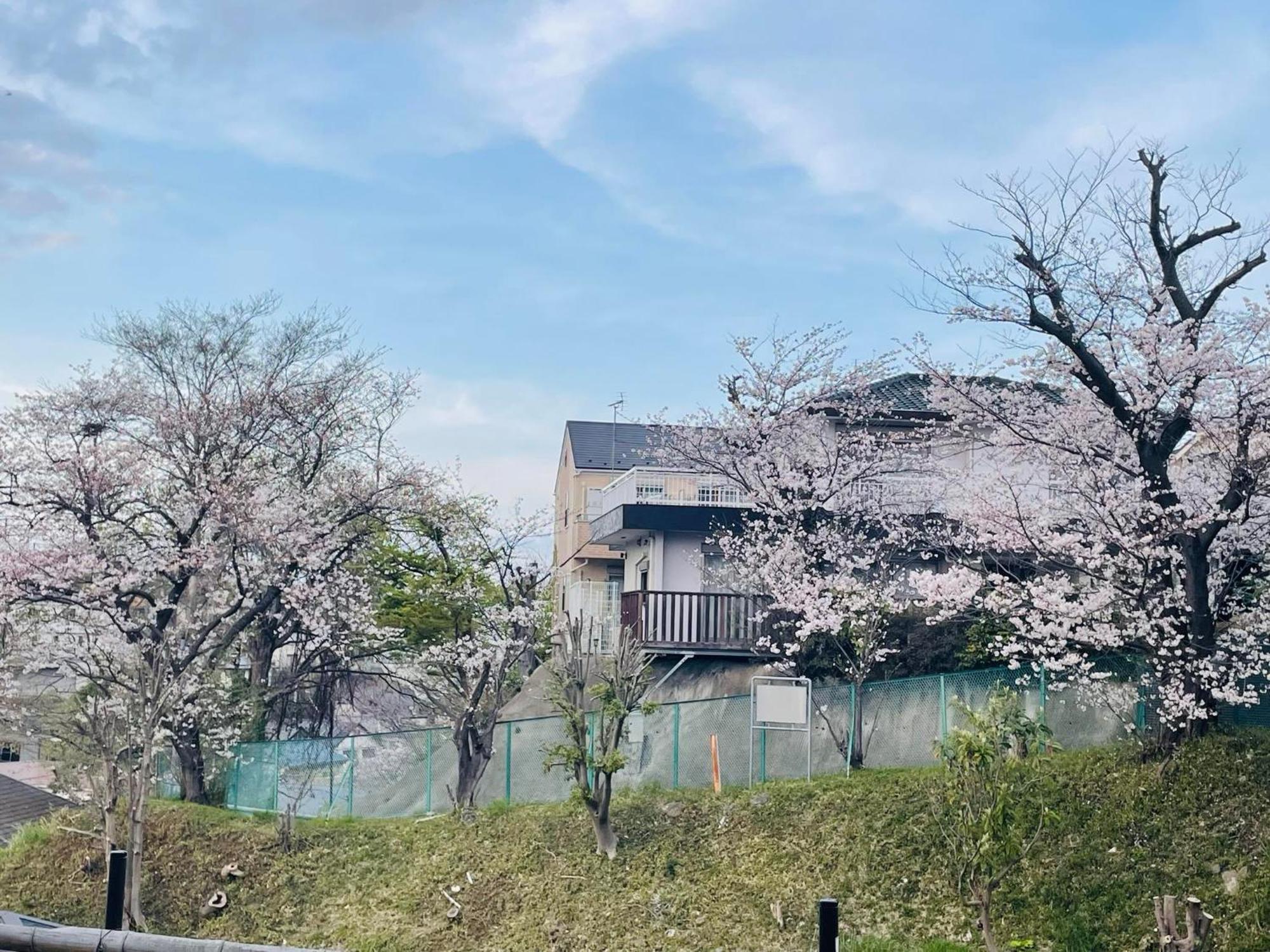 ソフィアハウス横浜 -女性専用シェアハウス- Sopfia House Yokohama For Women Only Shared House Hotel Buitenkant foto